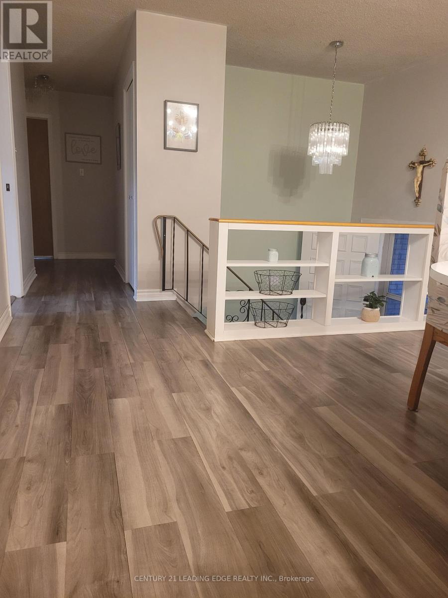 19 Forest Hill Road, Bancroft (Bancroft Ward), Ontario  K0L 1C0 - Photo 13 - X12892546