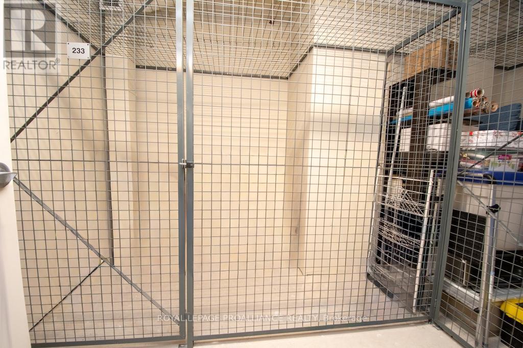 212 - 869 Clonsilla Avenue, Peterborough (Otonabee Ward 1), Ontario  K9J 0B7 - Photo 28 - X12895050