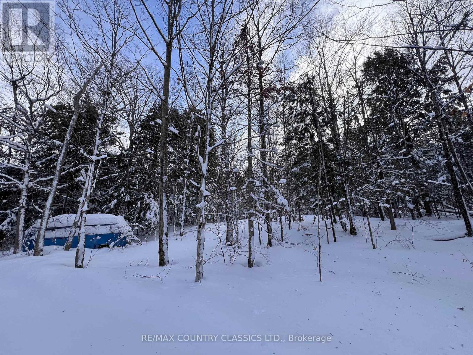 1322a Weslemkoon Lake Road, Tudor And Cashel (Tudor Ward), Ontario  K0L 1W0 - Photo 43 - X12895156