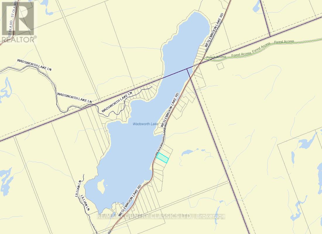 1322a Weslemkoon Lake Road, Tudor And Cashel (Tudor Ward), Ontario  K0L 1W0 - Photo 50 - X12895156