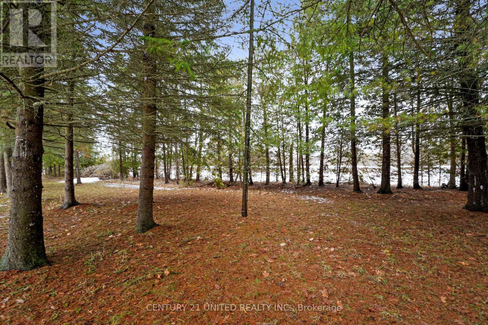 74 Hearthstone Road, Trent Hills, Ontario  K0L 1L0 - Photo 44 - X12895712