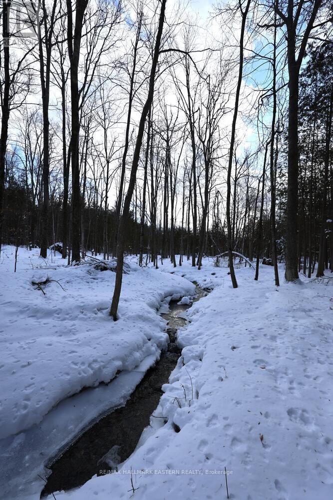 2160 County Road 46, Havelock-Belmont-Methuen (Belmont-Methuen), Ontario  K0L 1Z0 - Photo 10 - X12898934