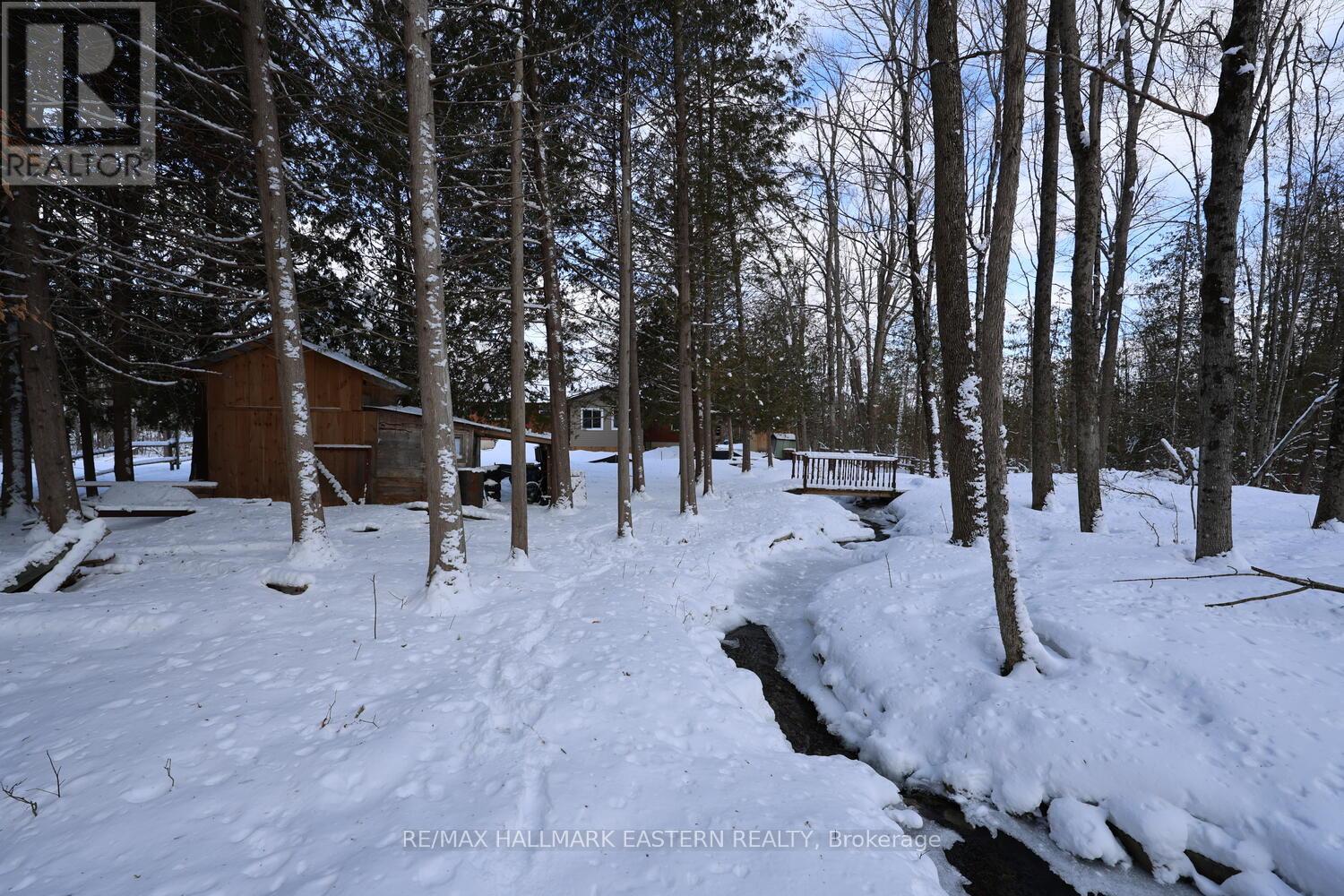 2160 County Road 46, Havelock-Belmont-Methuen (Belmont-Methuen), Ontario  K0L 1Z0 - Photo 11 - X12898934