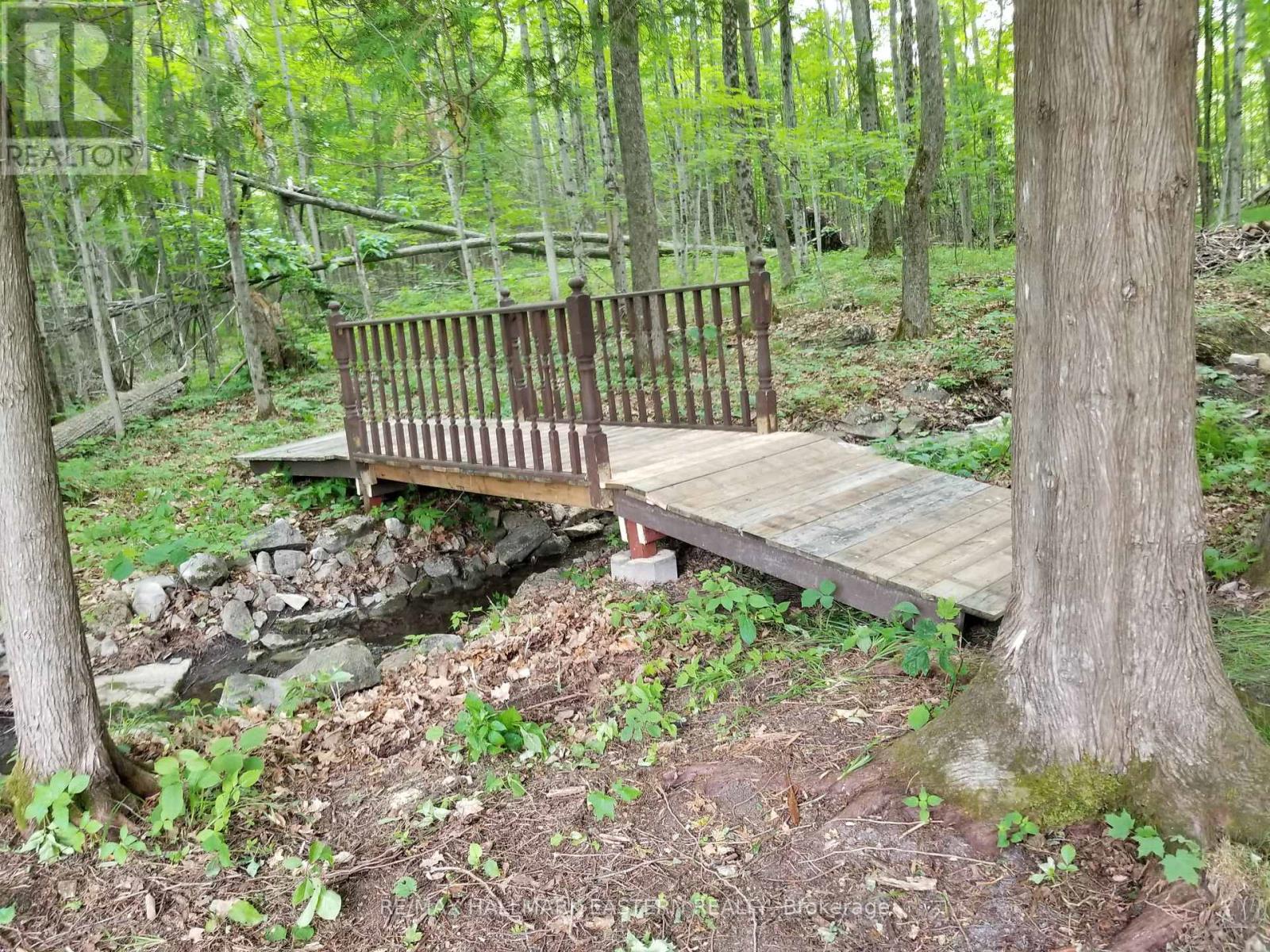 2160 County Road 46, Havelock-Belmont-Methuen (Belmont-Methuen), Ontario  K0L 1Z0 - Photo 3 - X12898934