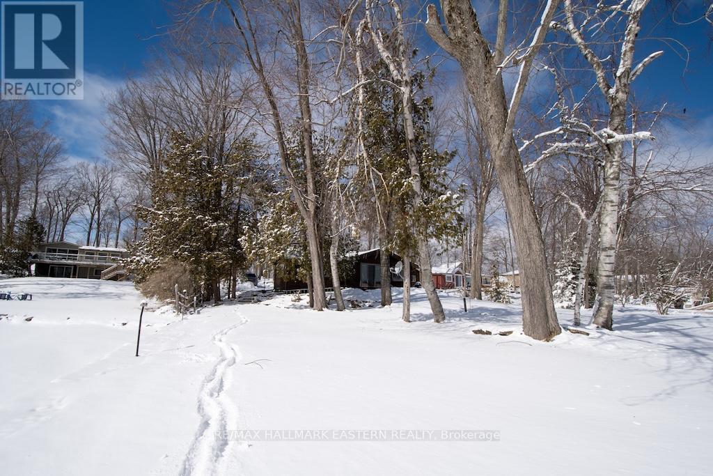 57 Woodland Trail, Trent Lakes, Ontario  K0L 1J0 - Photo 46 - X12899098