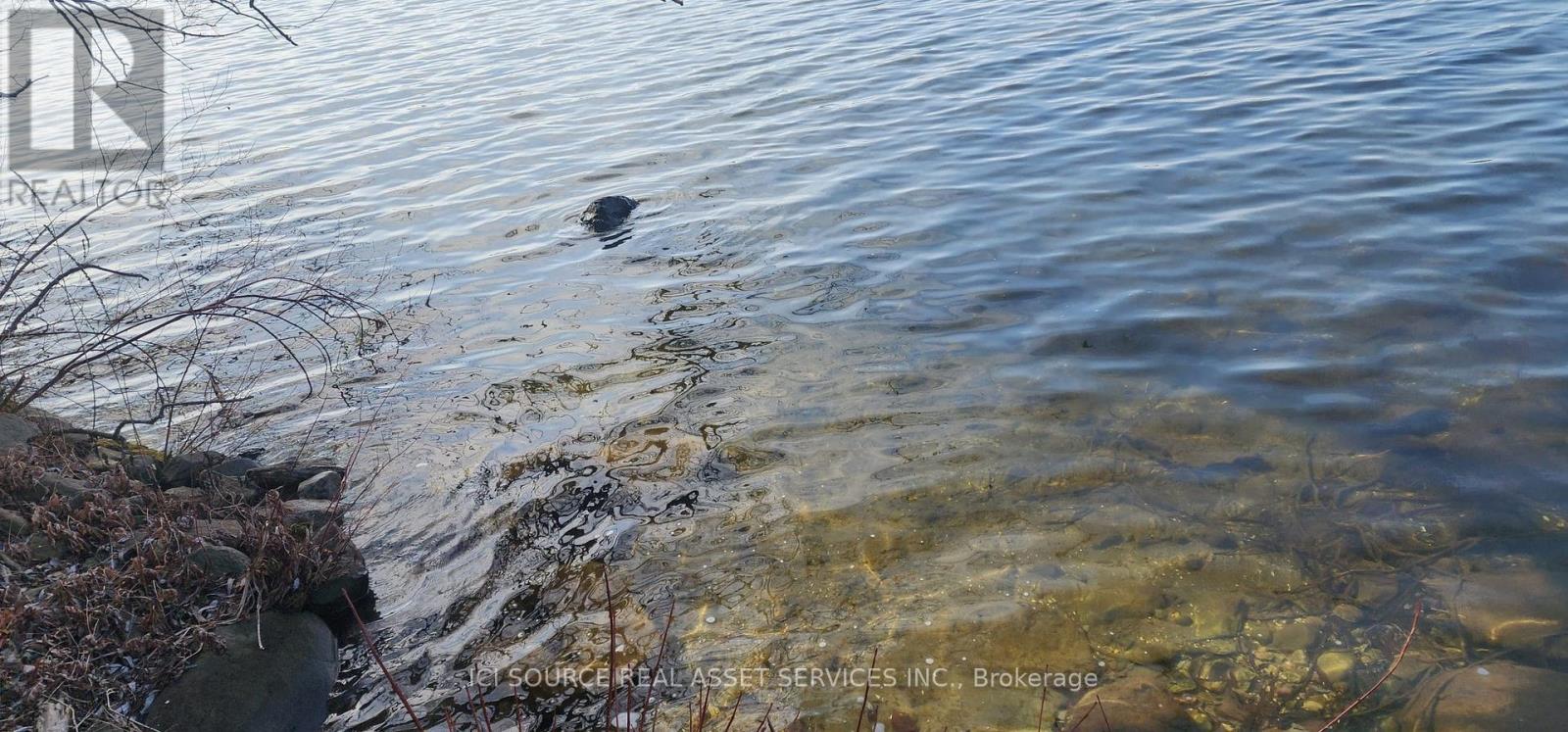 22 Fleming Bay Road, Trent Hills, Ontario  K0L 1Y0 - Photo 22 - X12900572