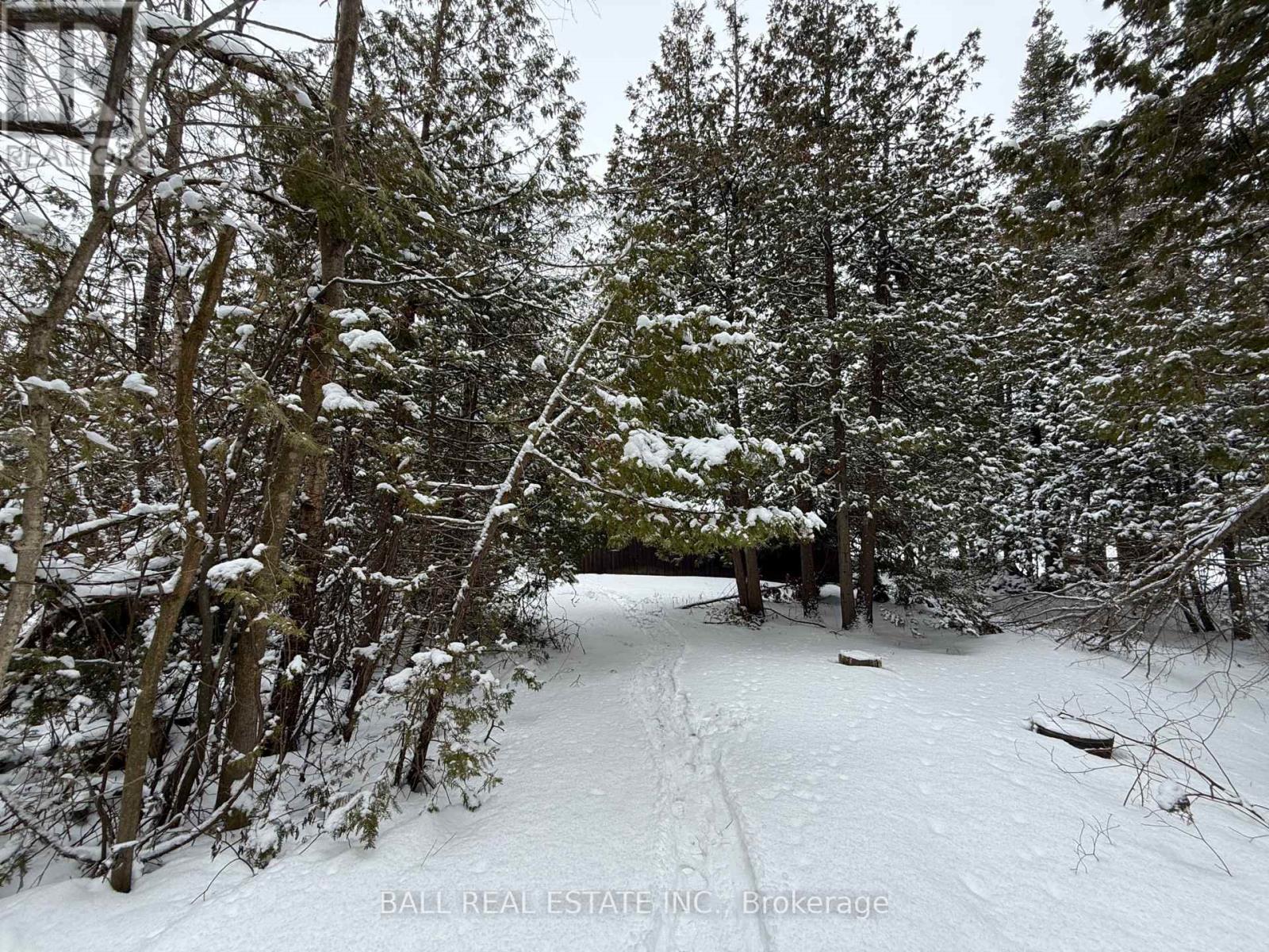 127 Fire Route 42, Trent Lakes, Ontario  K0L 1J0 - Photo 24 - X12902616