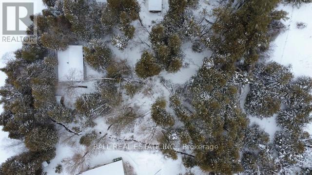 127 Fire Route 42, Trent Lakes, Ontario  K0L 1J0 - Photo 27 - X12902616