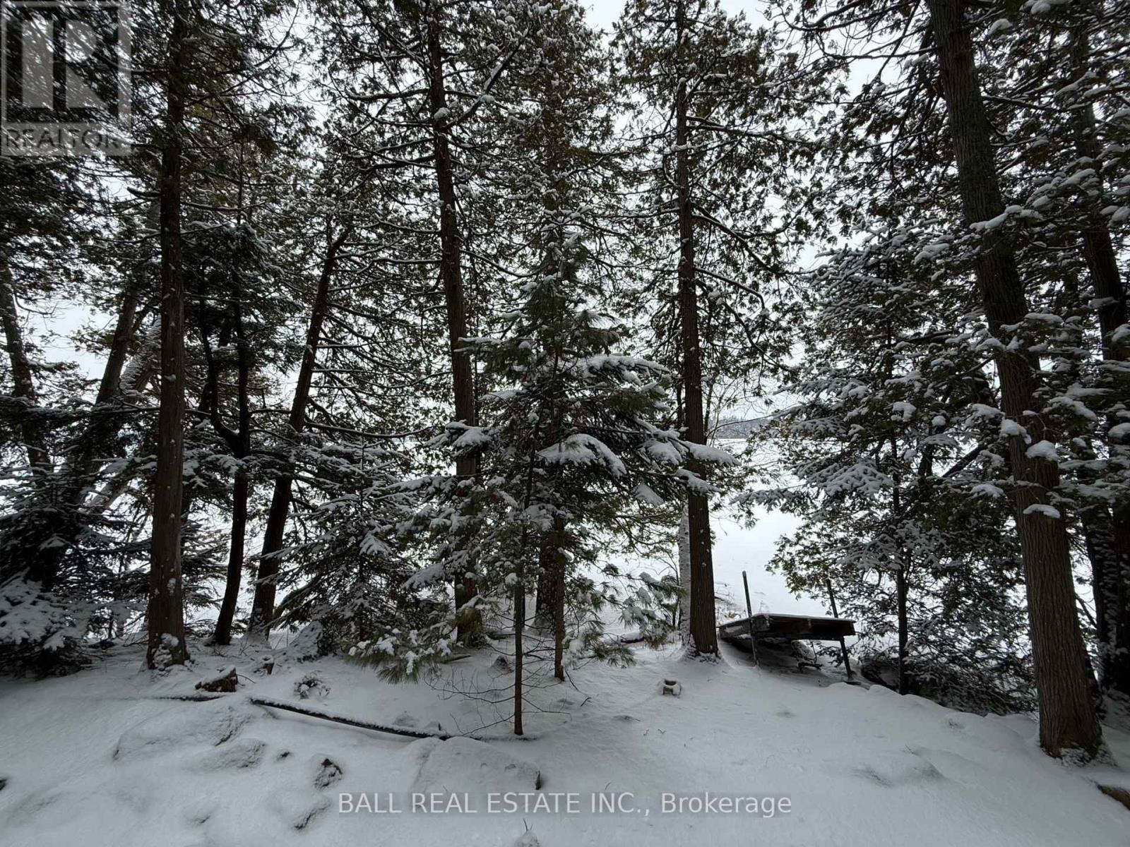 127 Fire Route 42, Trent Lakes, Ontario  K0L 1J0 - Photo 3 - X12902616