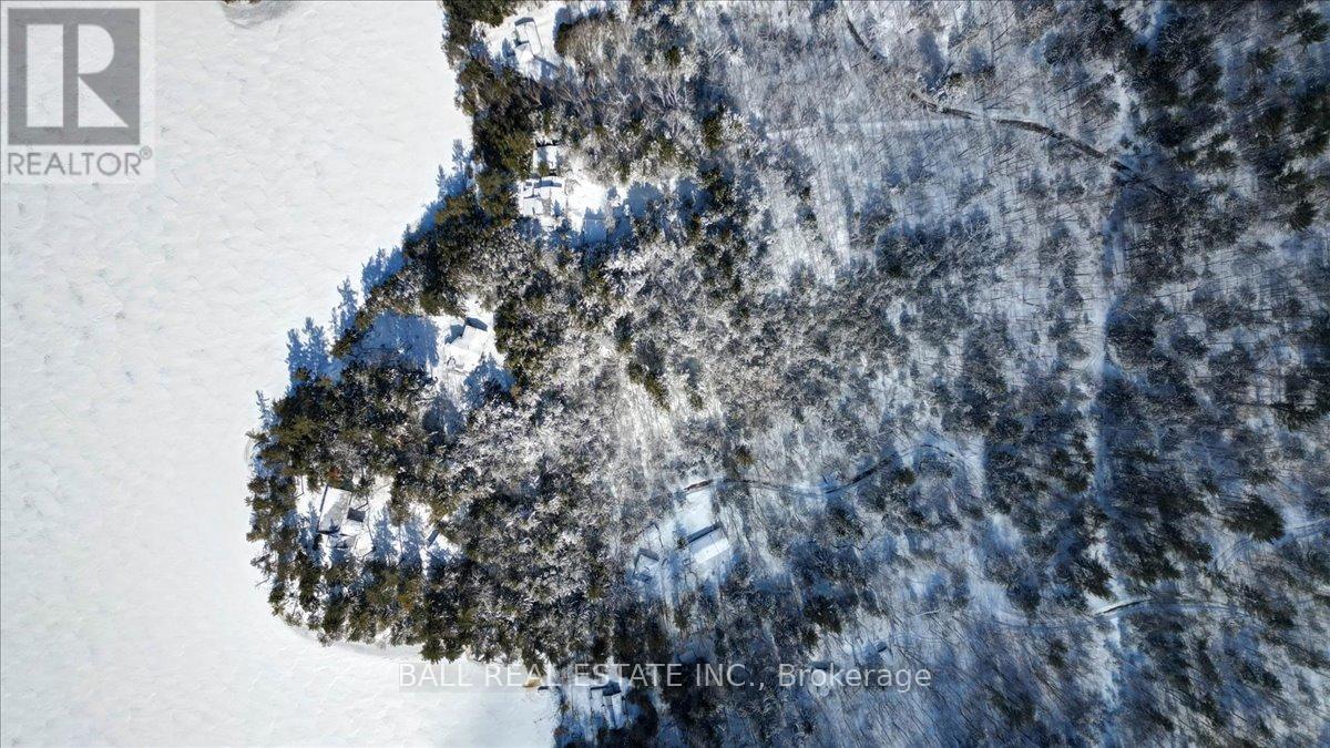 98 Merganser Lane, North Kawartha, Ontario  K0L 1A0 - Photo 25 - X12903008