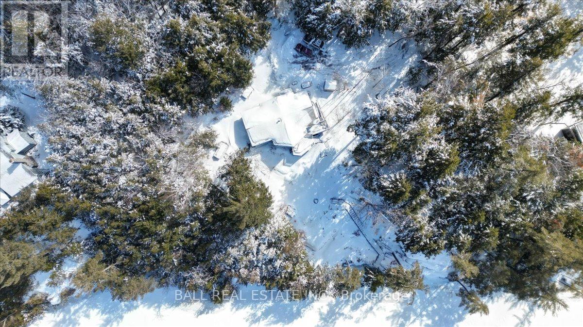 98 Merganser Lane, North Kawartha, Ontario  K0L 1A0 - Photo 4 - X12903008