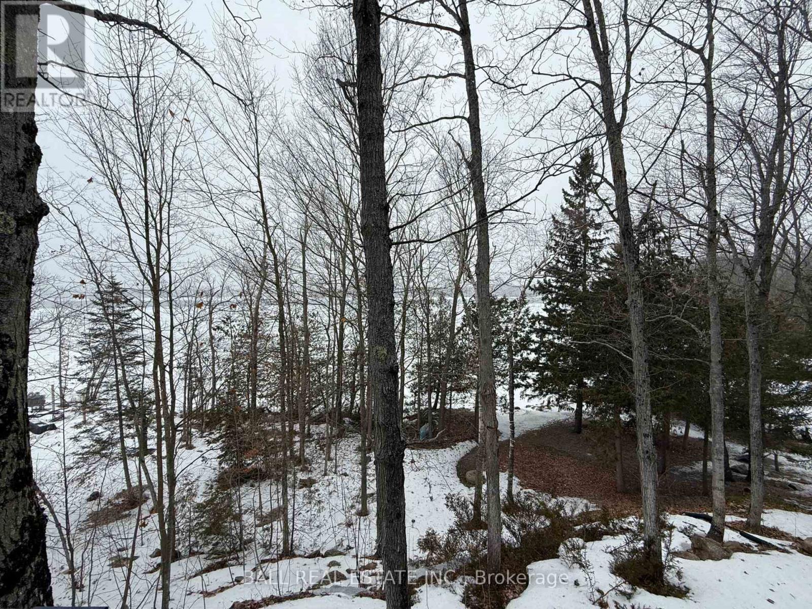 3186 Buckhorn Lane, Selwyn, Ontario  K0L 2H0 - Photo 30 - X12903334