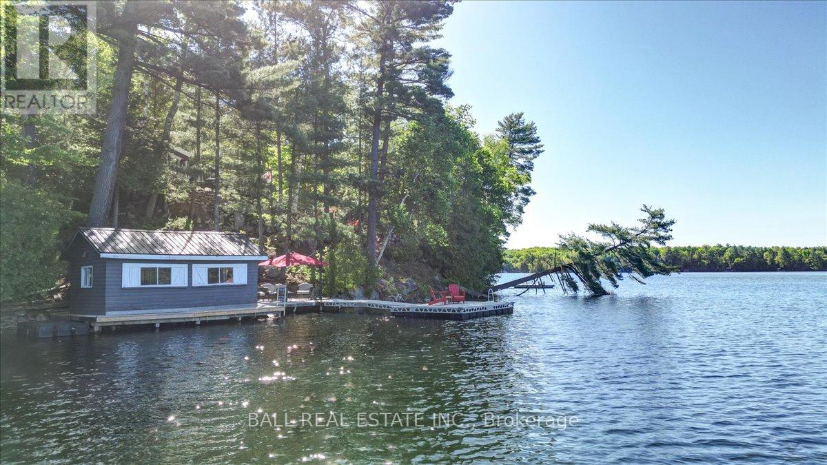 139 Spence Road, North Kawartha, Ontario  K0L 1A0 - Photo 40 - X12903464