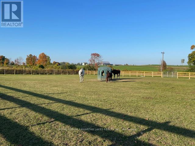 50 Farmview Road, Kawartha Lakes (Emily), Ontario  K0L 2W0 - Photo 34 - X12903864