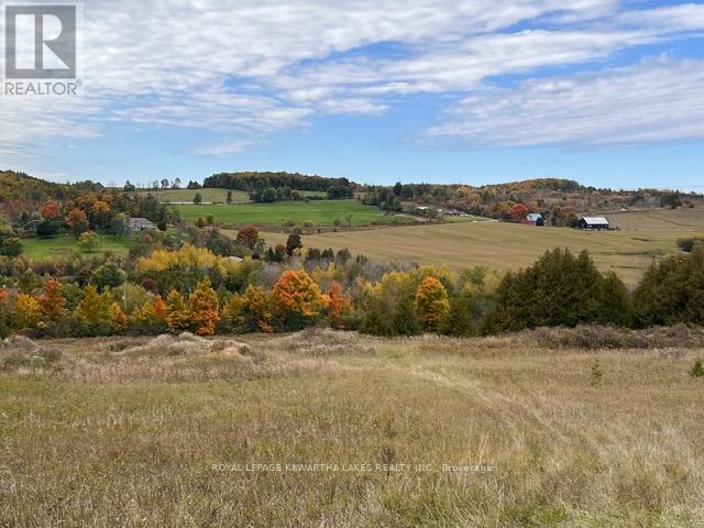 50 Farmview Road, Kawartha Lakes (Emily), Ontario  K0L 2W0 - Photo 39 - X12903864