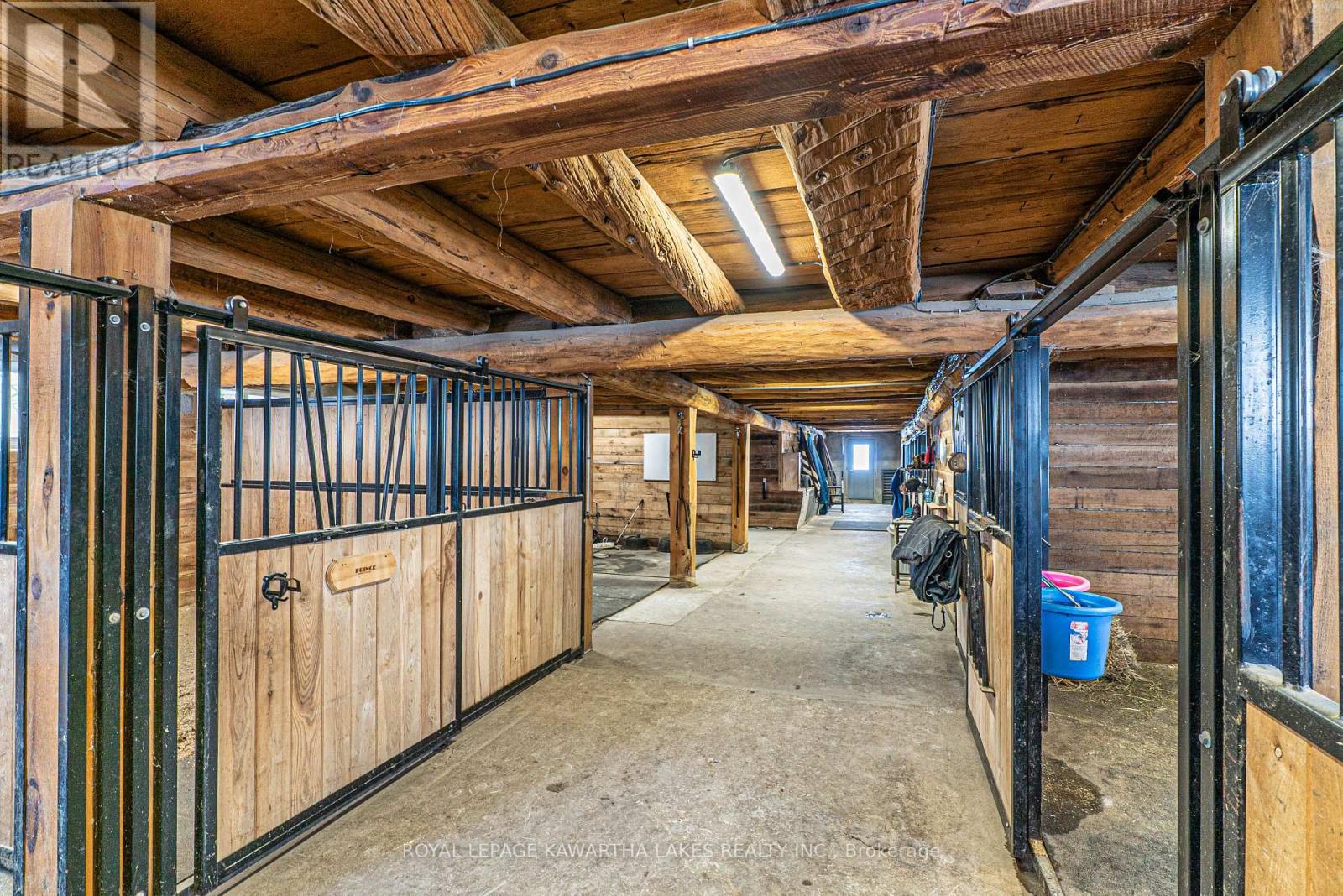 50 Farmview Road, Kawartha Lakes (Emily), Ontario  K0L 2W0 - Photo 44 - X12903864