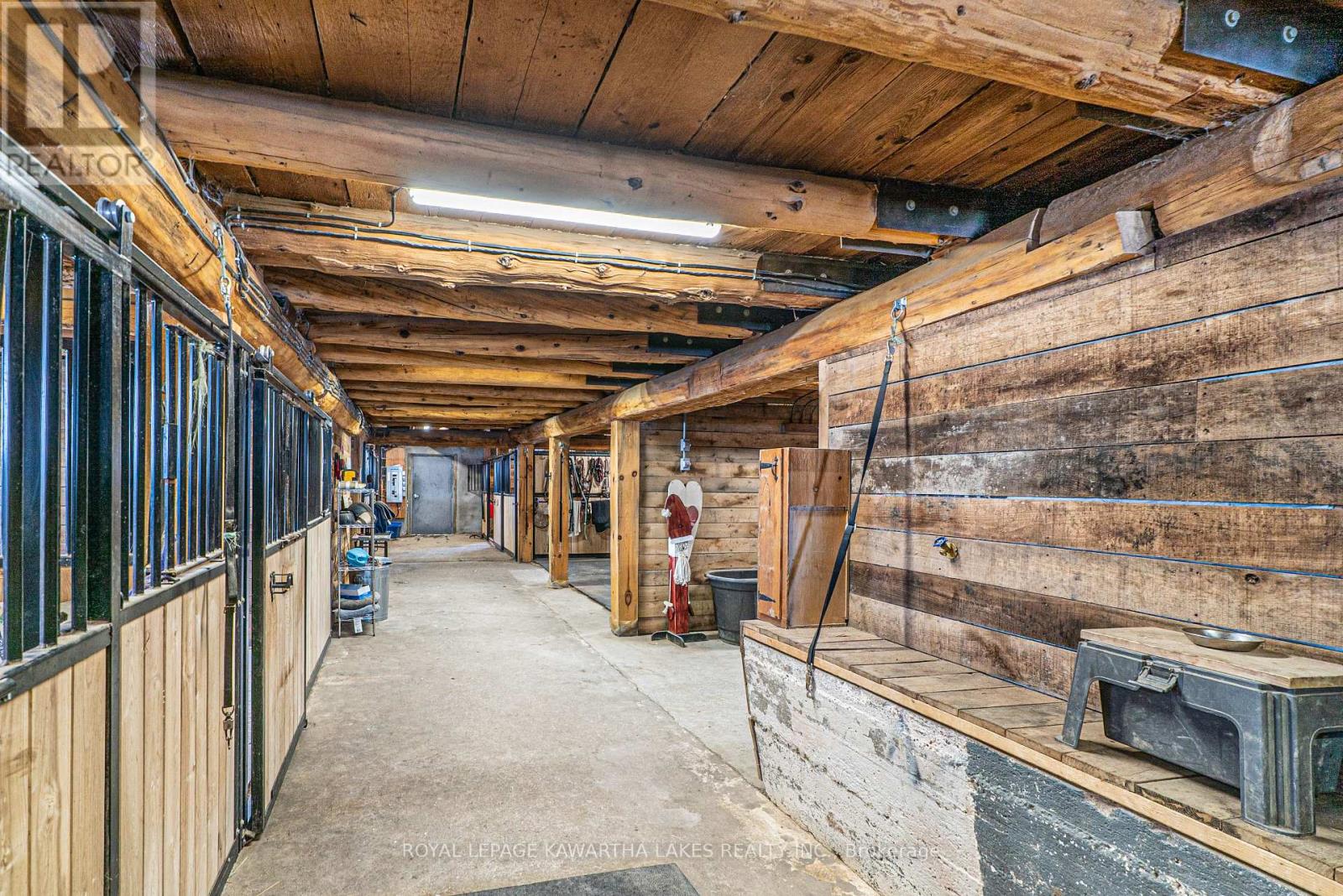 50 Farmview Road, Kawartha Lakes (Emily), Ontario  K0L 2W0 - Photo 45 - X12903864