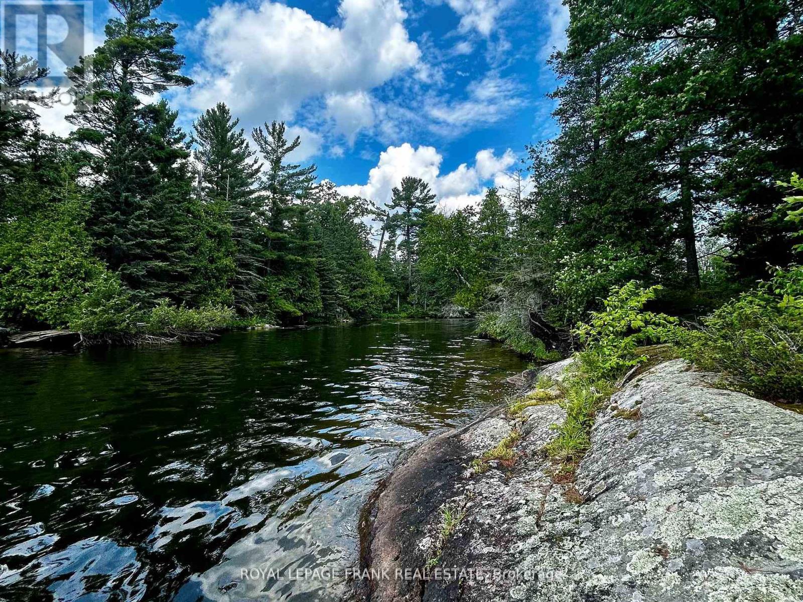 2295 Stony Lake Isl 17, North Kawartha, Ontario  K0L 2H0 - Photo 23 - X12903944