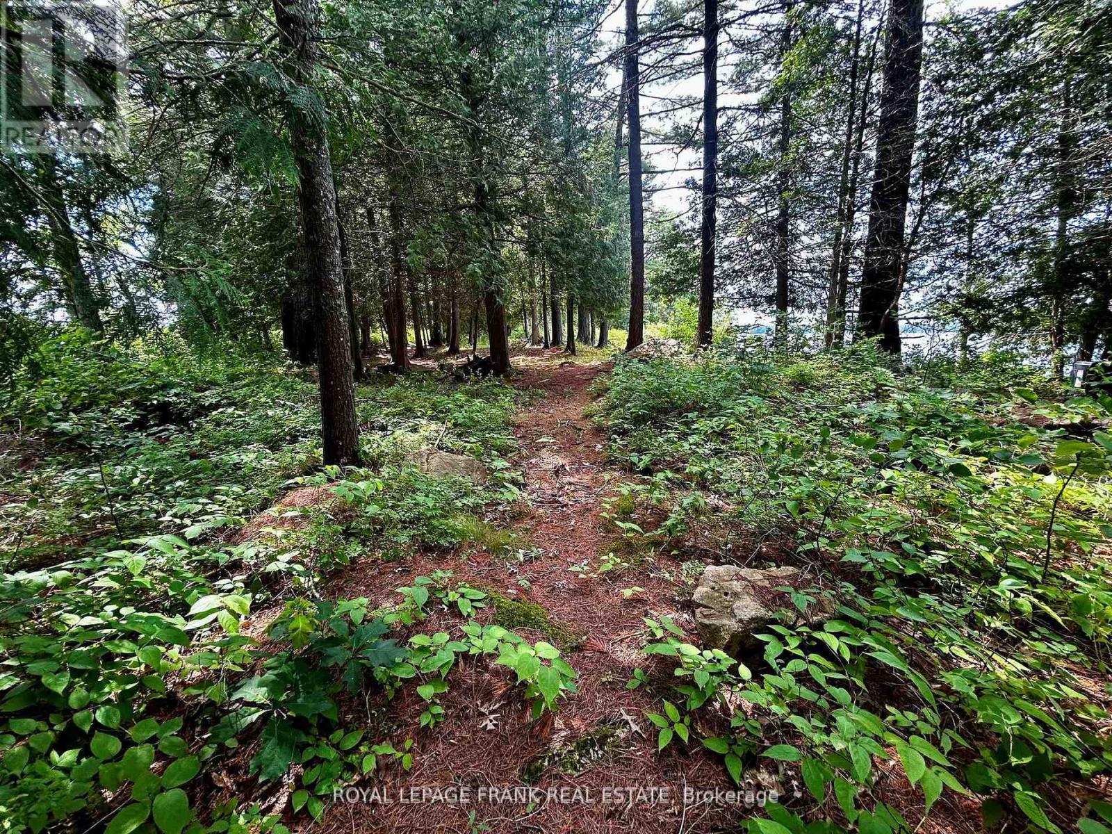 2295 Stony Lake Isl 17, North Kawartha, Ontario  K0L 2H0 - Photo 27 - X12903944