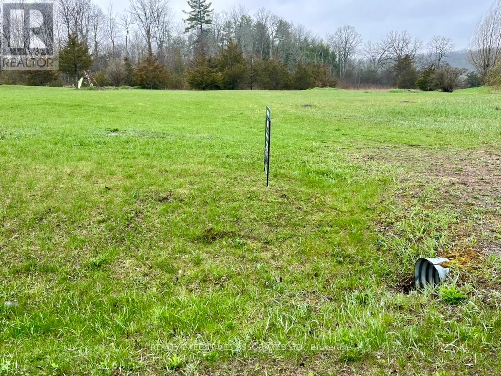 594 Percy Boom Road, Trent Hills, Ontario  K0L 1L0 - Photo 3 - X12904026