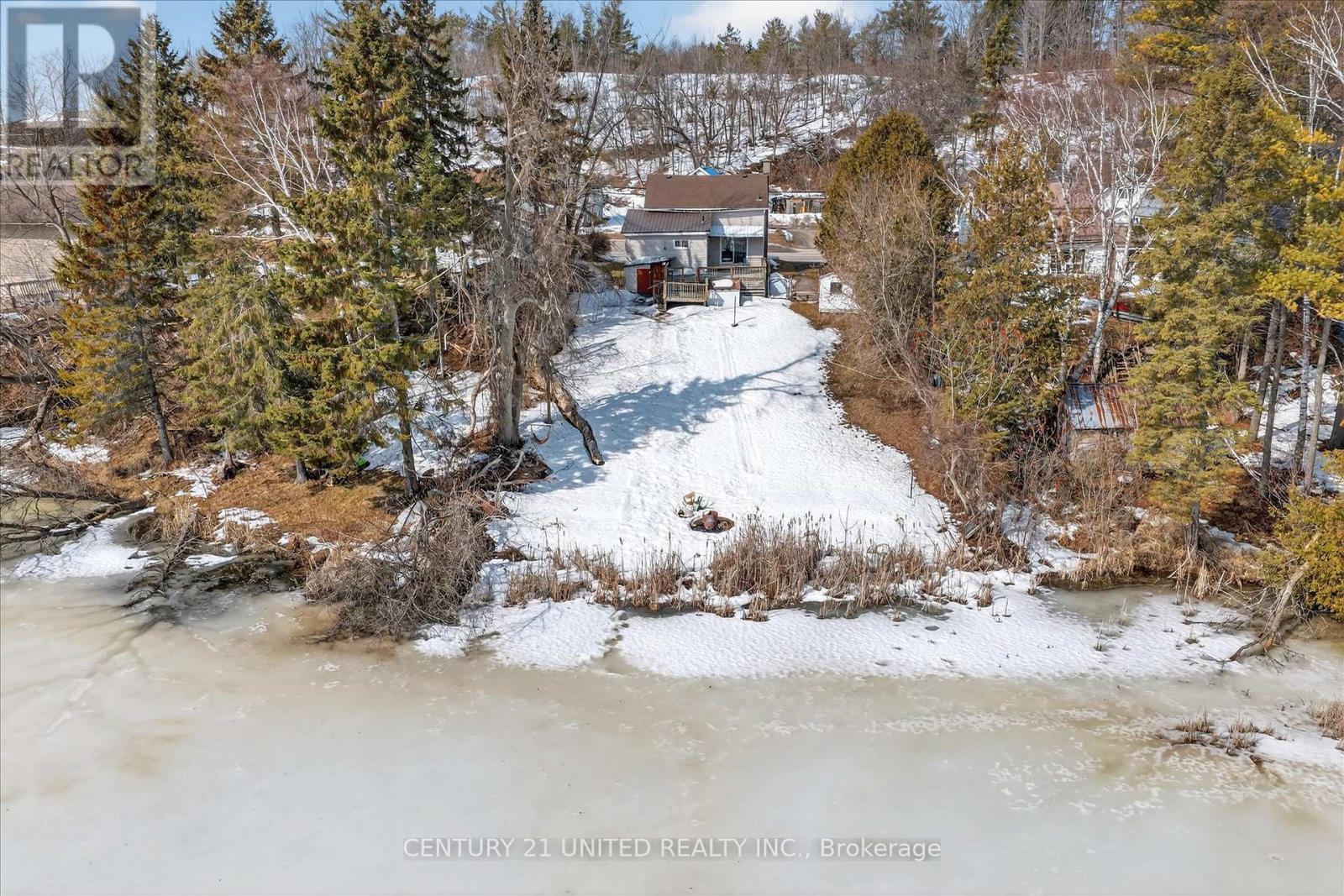 4401 7 Highway, Asphodel-Norwood (Norwood), Ontario  K0L 2V0 - Photo 5 - X12905118