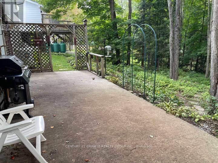 12 Forest Hill Road, Bancroft (Bancroft Ward), Ontario  K0L 1C0 - Photo 4 - X12906570