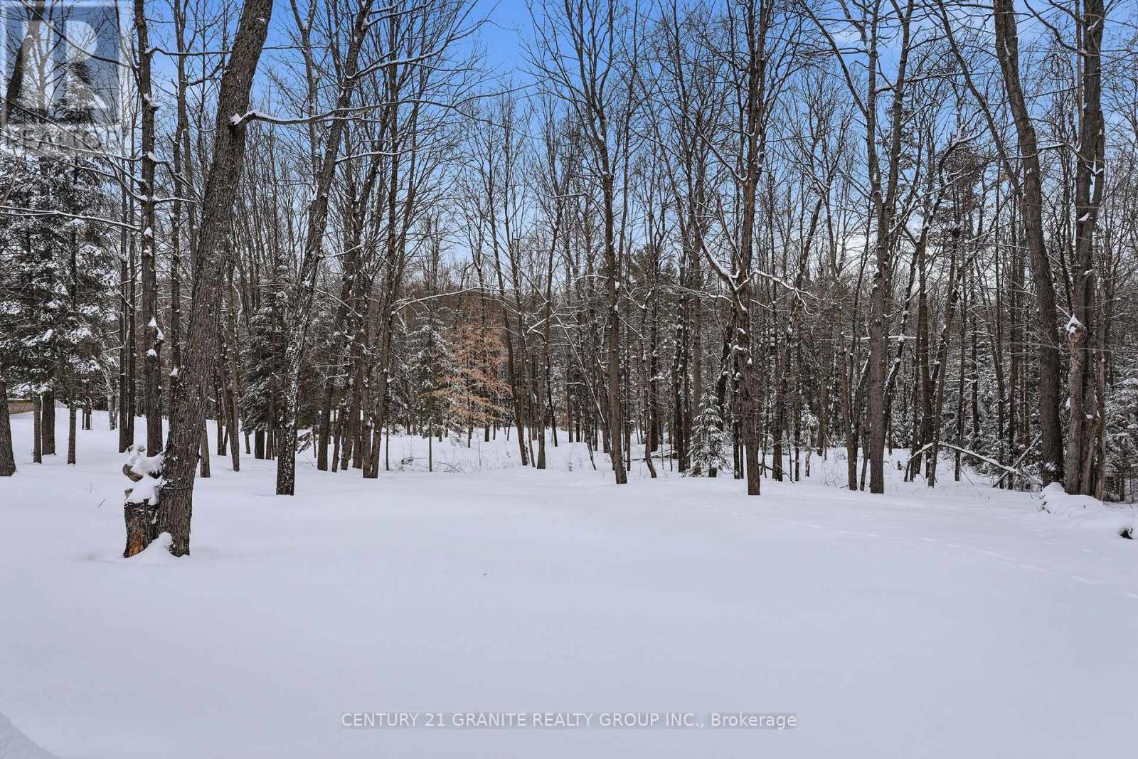 12 Forest Hill Road, Bancroft (Bancroft Ward), Ontario  K0L 1C0 - Photo 45 - X12906570