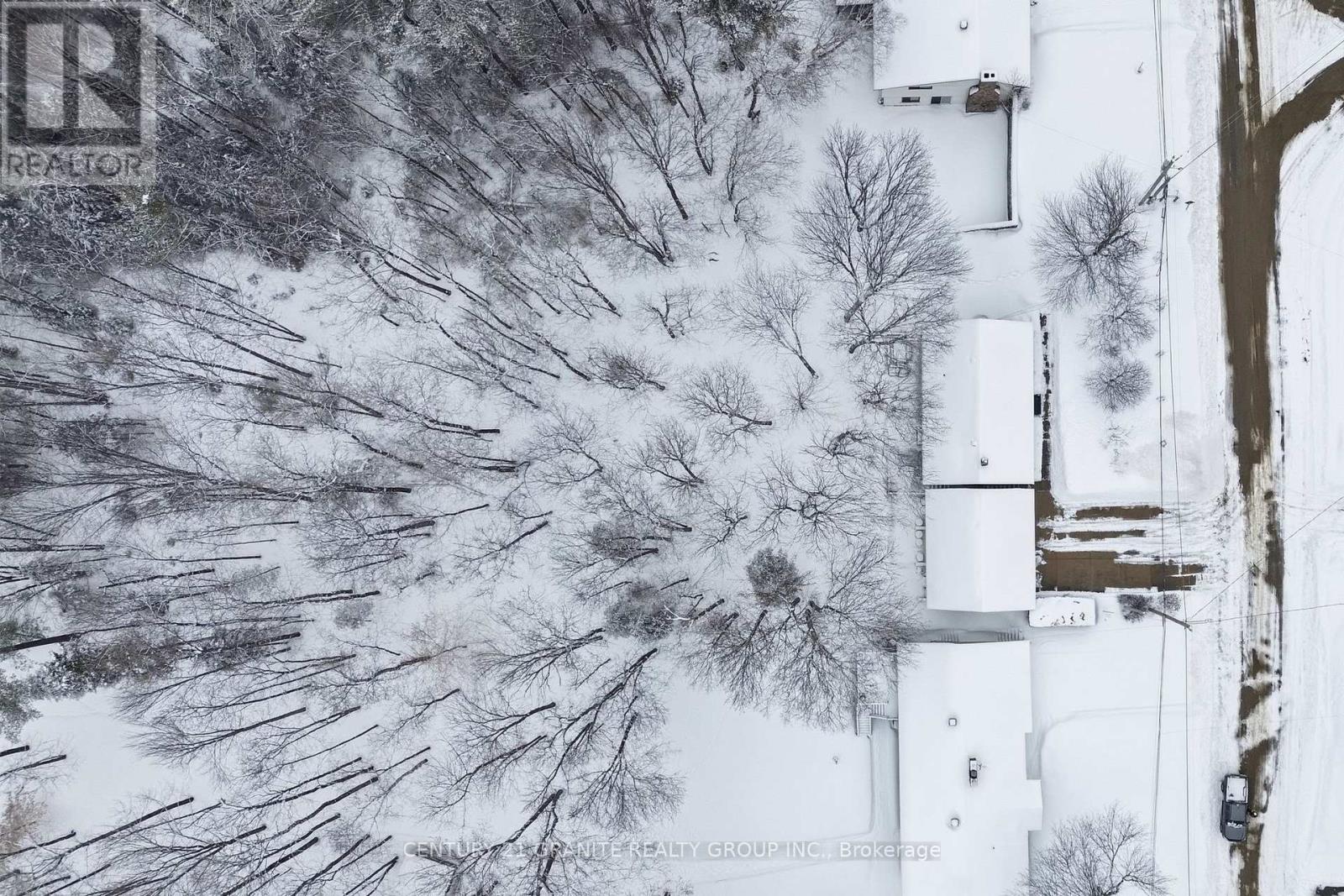 12 Forest Hill Road, Bancroft (Bancroft Ward), Ontario  K0L 1C0 - Photo 49 - X12906570