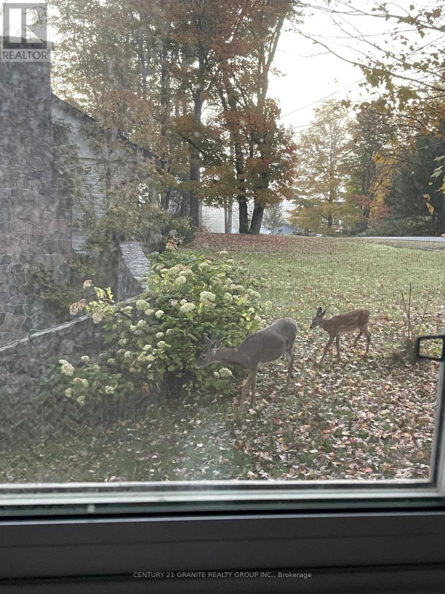 12 Forest Hill Road, Bancroft (Bancroft Ward), Ontario  K0L 1C0 - Photo 5 - X12906570