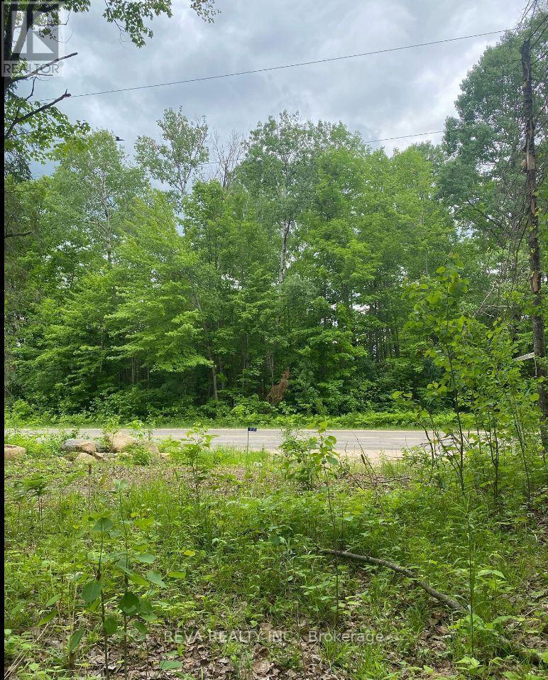 1755 South Baptiste Lake Road, Hastings Highlands (Herschel Ward), Ontario  K0L 1C0 - Photo 10 - X12906588