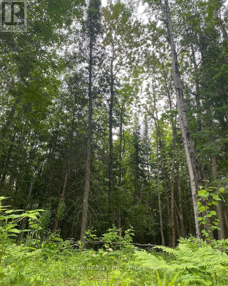 1755 South Baptiste Lake Road, Hastings Highlands (Herschel Ward), Ontario  K0L 1C0 - Photo 12 - X12906588