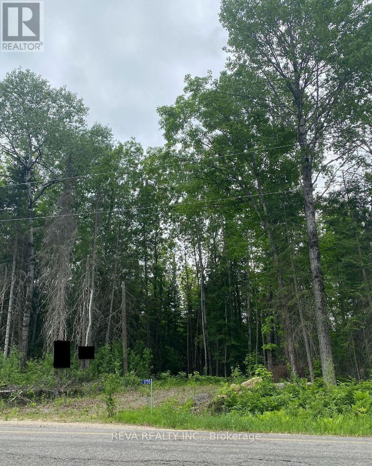 1755 South Baptiste Lake Road, Hastings Highlands (Herschel Ward), Ontario  K0L 1C0 - Photo 13 - X12906588