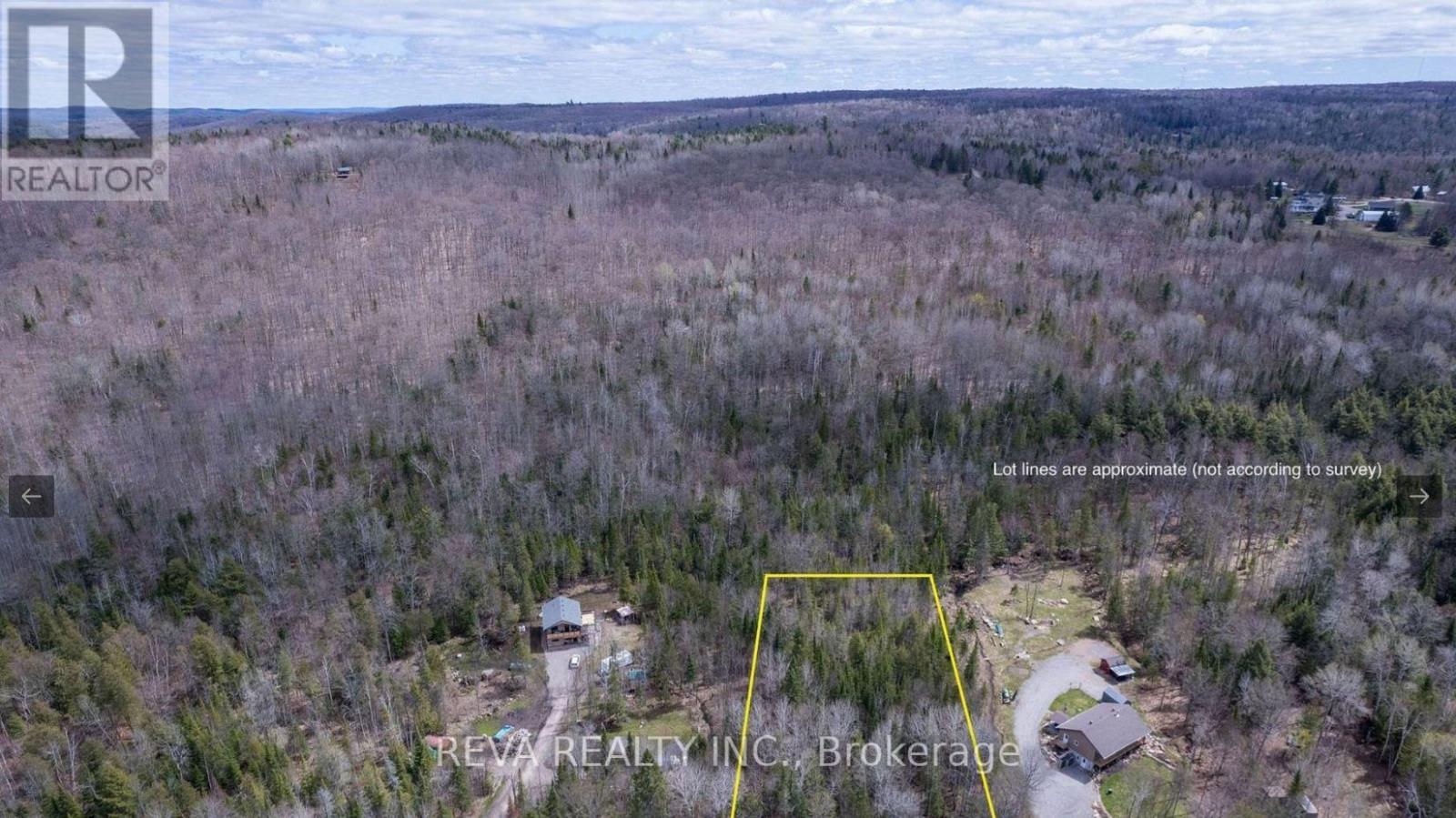 1755 South Baptiste Lake Road, Hastings Highlands (Herschel Ward), Ontario  K0L 1C0 - Photo 5 - X12906588