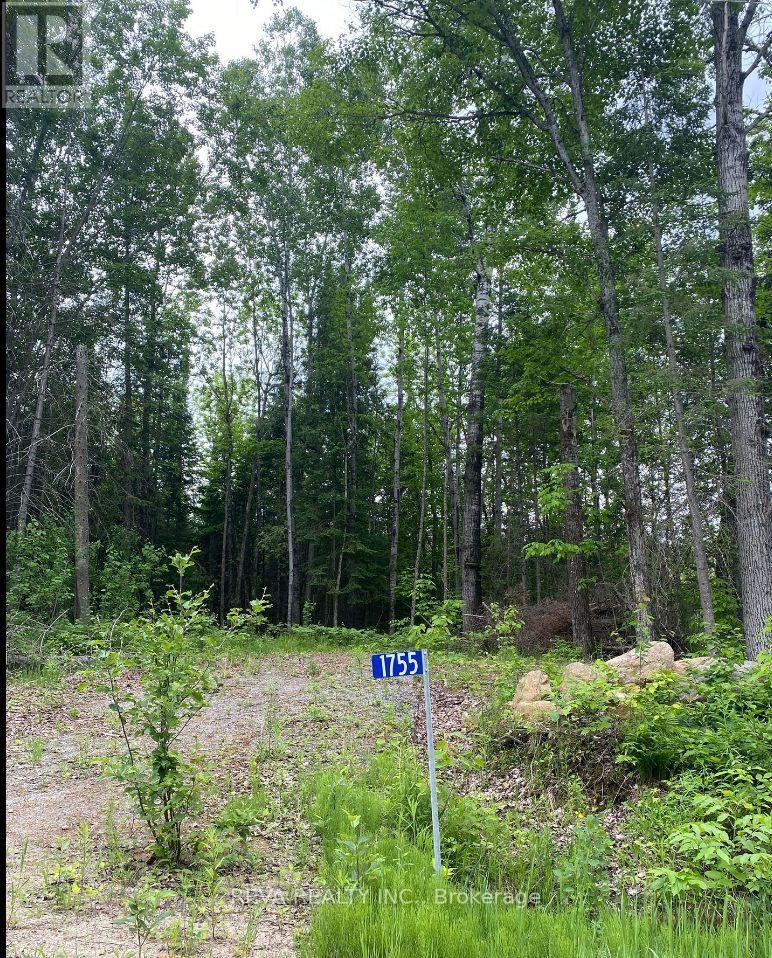 1755 South Baptiste Lake Road, Hastings Highlands (Herschel Ward), Ontario  K0L 1C0 - Photo 8 - X12906588