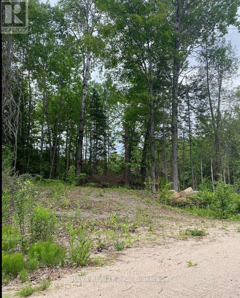 1755 South Baptiste Lake Road, Hastings Highlands (Herschel Ward), Ontario  K0L 1C0 - Photo 9 - X12906588