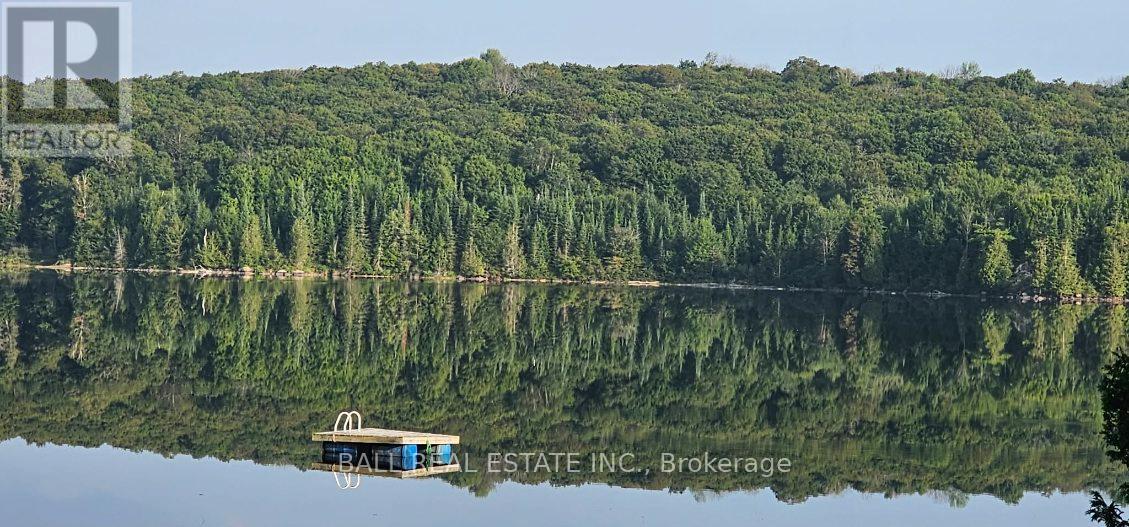 1154 Surveyor Drive, Highlands East (Monmouth), Ontario  K0L 2Y0 - Photo 44 - X12908290