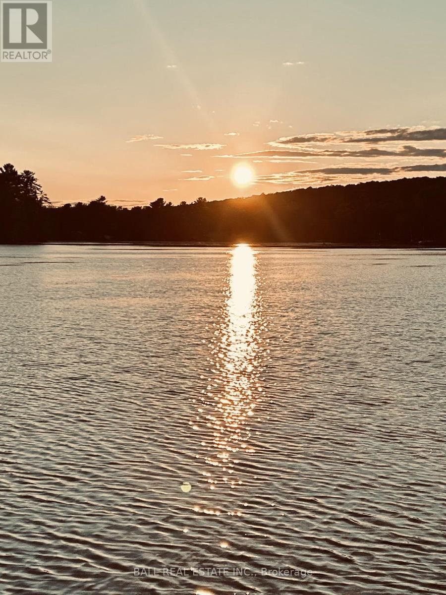 44 Fire Route 19, Trent Lakes, Ontario  K0L 1J0 - Photo 5 - X12908496