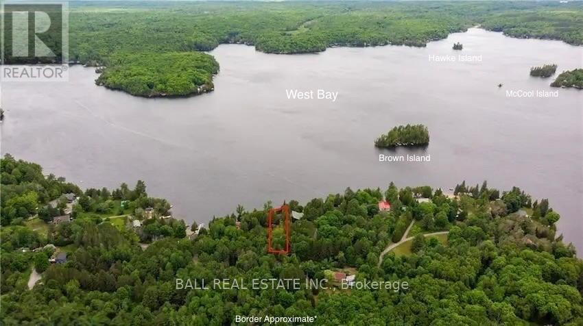 170 Couchs Road, North Kawartha, Ontario  K0L 1A0 - Photo 24 - X12908516