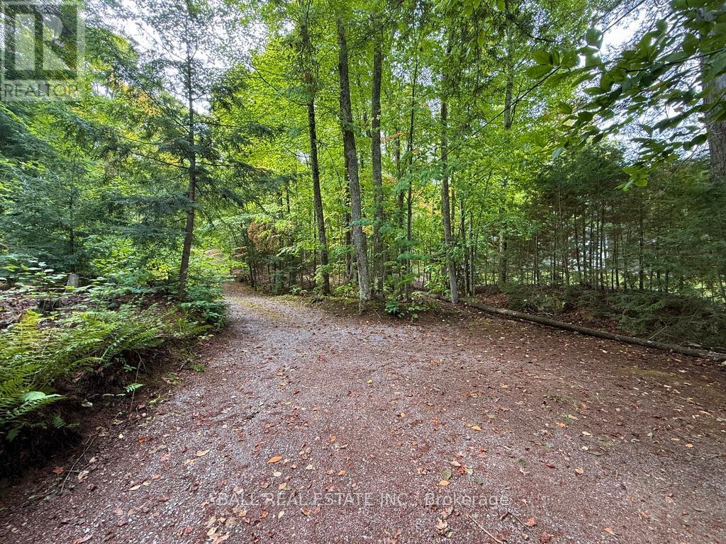 551 Renwick Road, North Kawartha, Ontario  K0L 1A0 - Photo 11 - X12908560