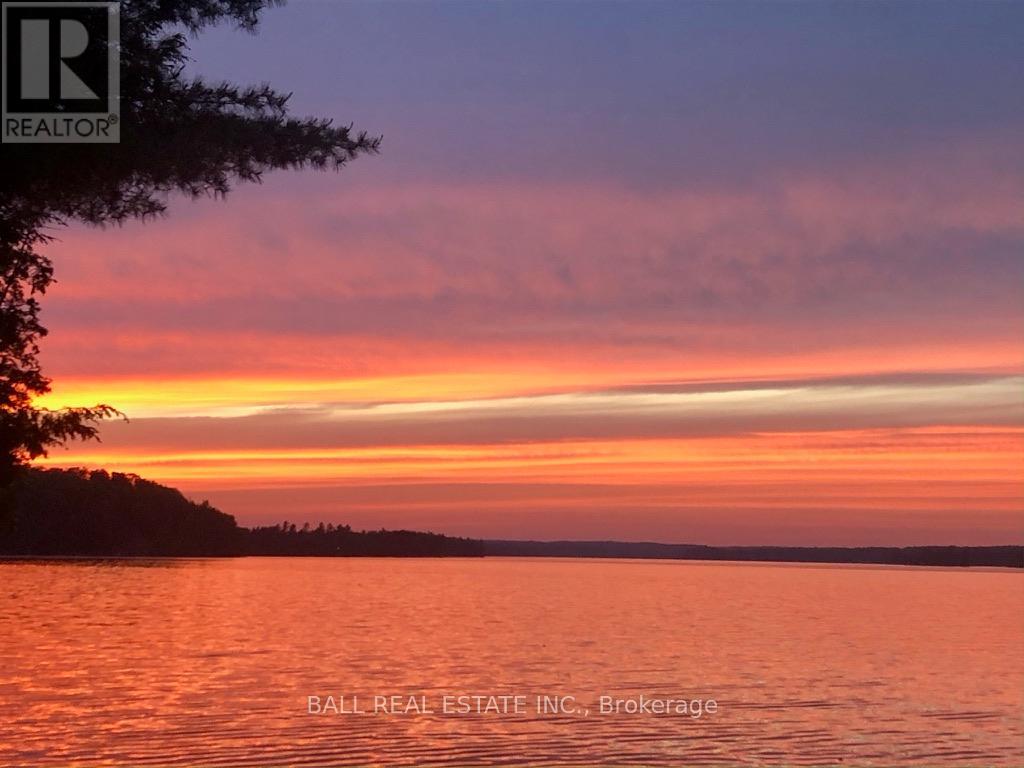 551 Renwick Road, North Kawartha, Ontario  K0L 1A0 - Photo 4 - X12908560