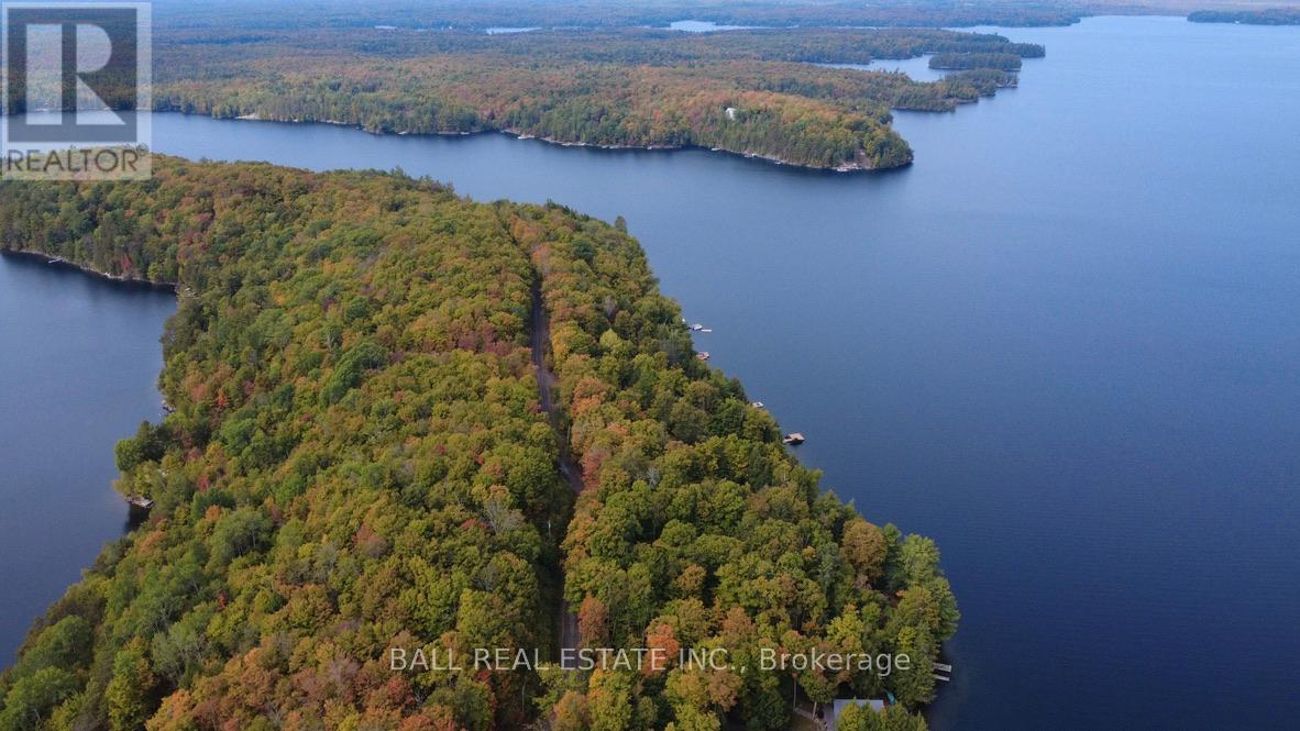 551 Renwick Road, North Kawartha, Ontario  K0L 1A0 - Photo 40 - X12908560