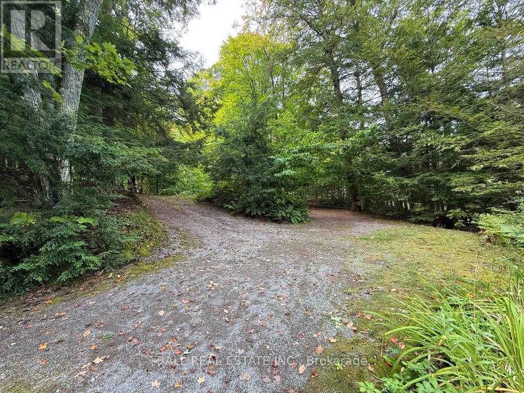 551 Renwick Road, North Kawartha, Ontario  K0L 1A0 - Photo 42 - X12908560