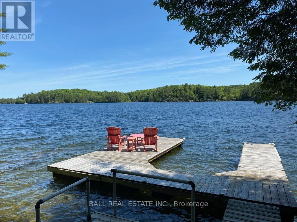 551 Renwick Road, North Kawartha, Ontario  K0L 1A0 - Photo 7 - X12908560