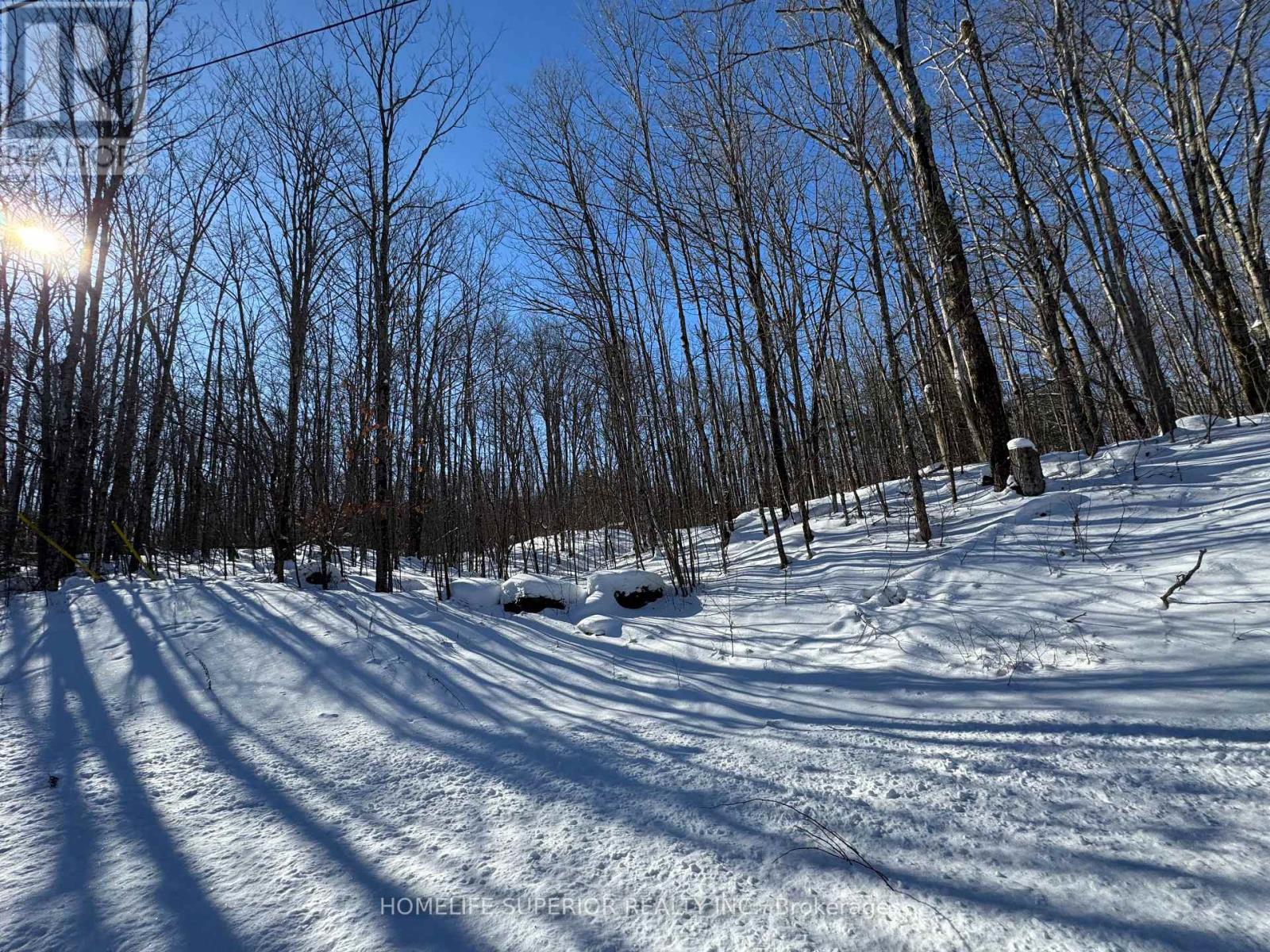 0 N Belmont Conc 10, Havelock-Belmont-Methuen (Belmont-Methuen), Ontario  K0L 1Z0 - Photo 2 - X12909144