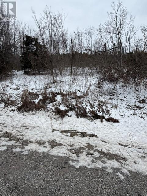 Lot 3 Lakefield Road, Selwyn, Ontario  K9J 6X5 - Photo 2 - X12910334