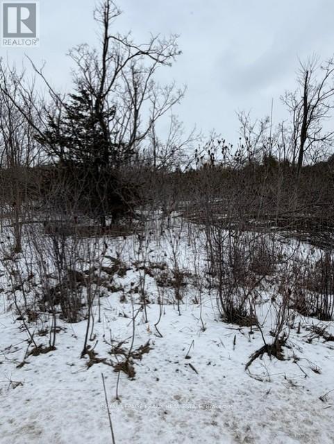 Lot 3 Lakefield Road, Selwyn, Ontario  K9J 6X5 - Photo 3 - X12910334