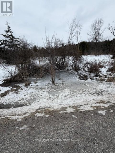 Lot 3 Lakefield Road, Selwyn, Ontario  K9J 6X5 - Photo 4 - X12910334