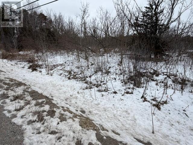 Lot 3 Lakefield Road, Selwyn, Ontario  K9J 6X5 - Photo 6 - X12910334