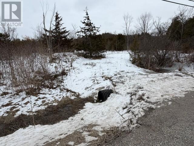 Lot 4 Lakefield Road, Selwyn, Ontario  K9J 6X5 - Photo 2 - X12910352