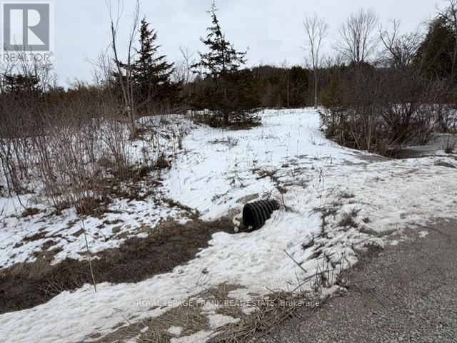 Lot 4 Lakefield Road, Selwyn, Ontario  K9J 6X5 - Photo 3 - X12910352